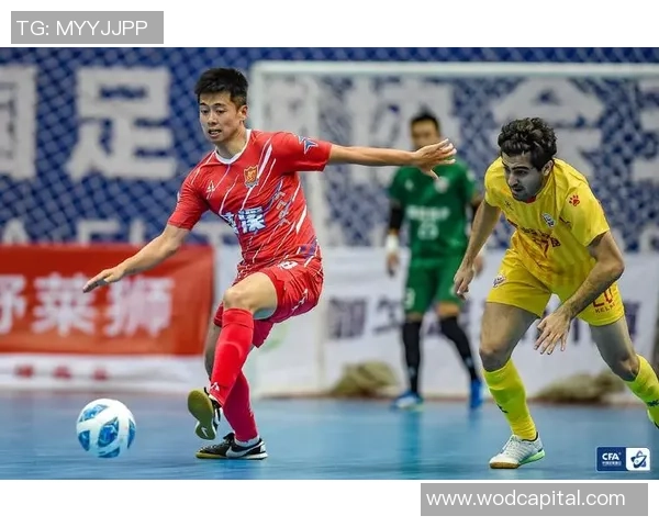 杭州排球队强势领跑欧锦赛积分榜积60分展现冠军实力